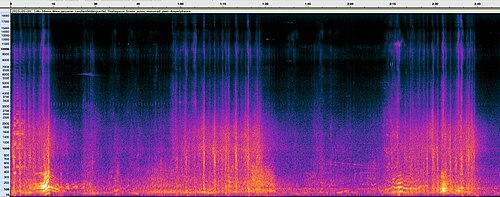 
transription for audio file